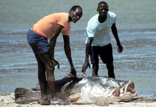 Nog twee joekels op de wal van het meer